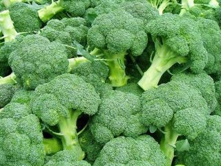 Manfaat Brokoli Untuk Ibu Hamil