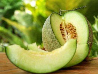 Apakah Buah Melon Bisa Mengobati Asam Lambung?