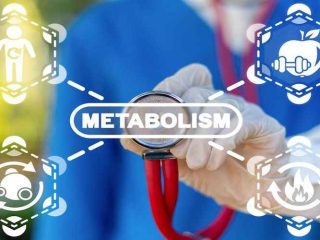 10 Buah Yang Meningkatkan Metabolisme Tubuh