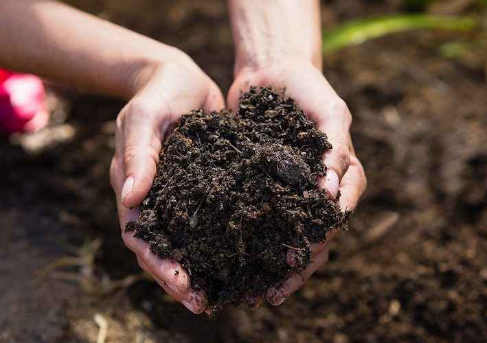 Cara Membuat Pupuk Organik Cair Dari Limbah Sayuran