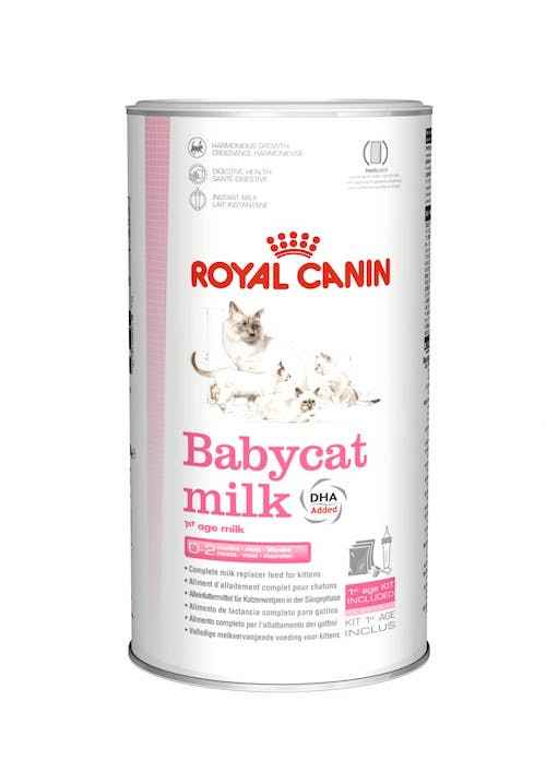 10 Rekomendasi Susu Kucing Yang Baru Lahir